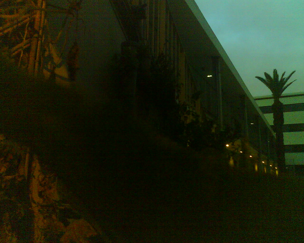 Dernière photo Photos aquaponie (FFP3)