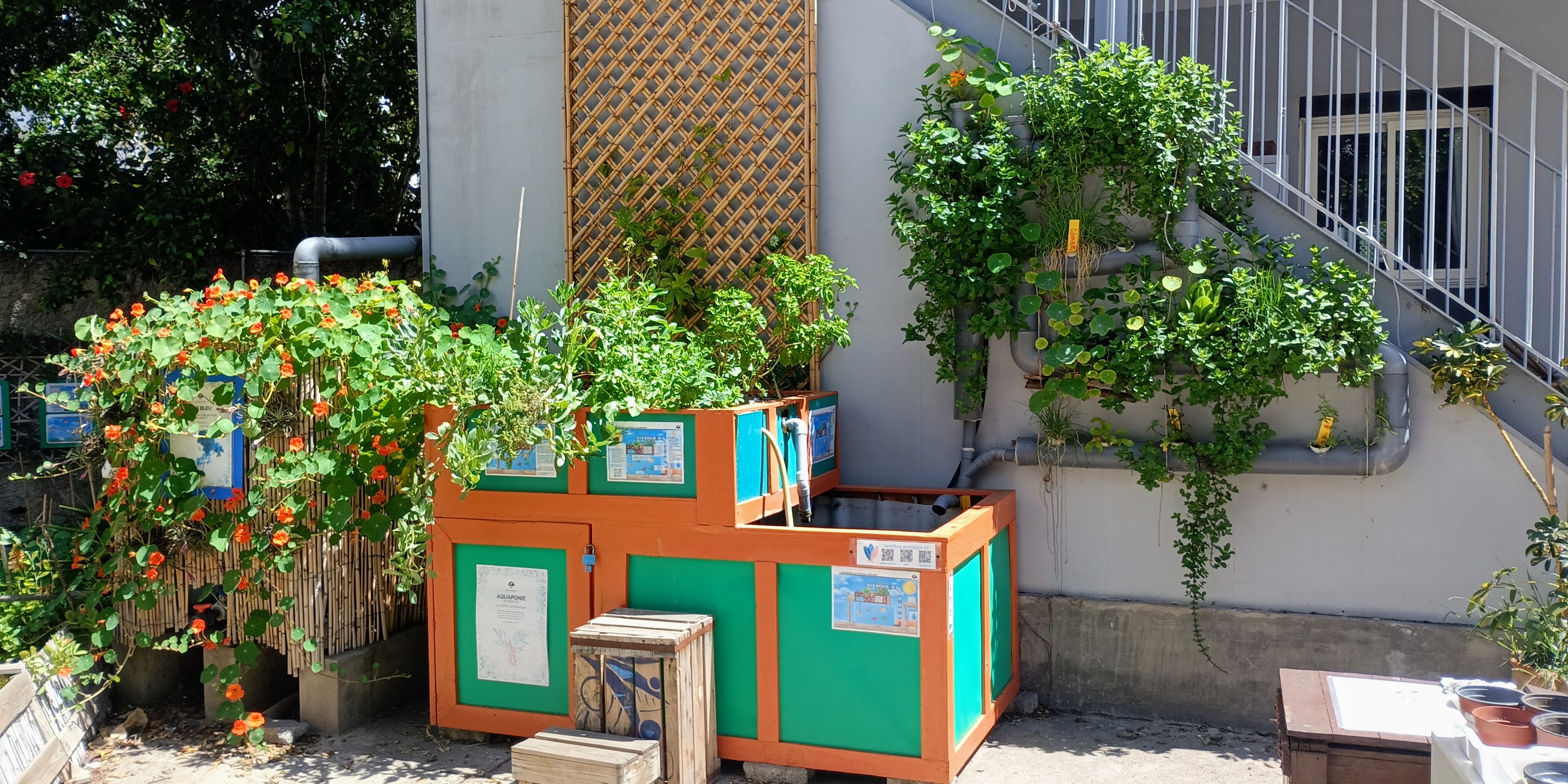 Vue générale de l'installation