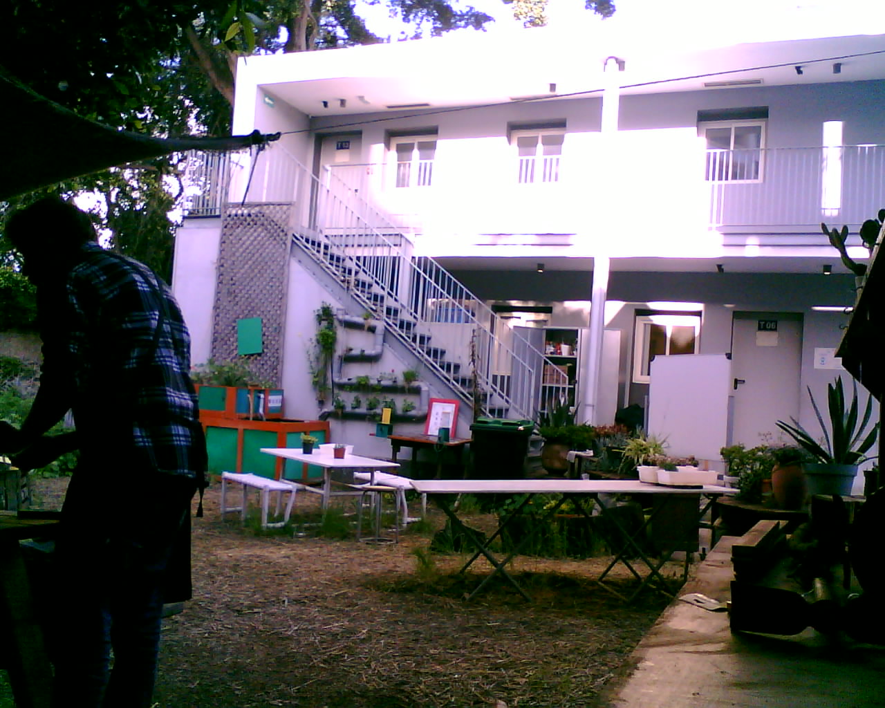 Dernière photo Photos du potager (MSP1)