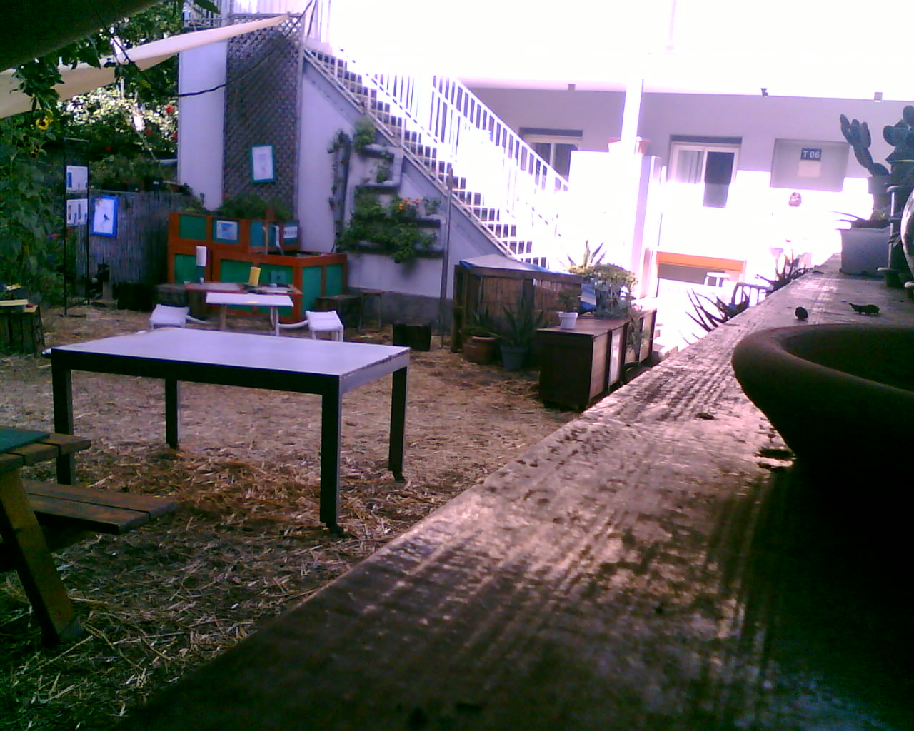Dernière photo Photos du potager (MSP1)